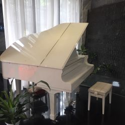 -比华利美容医院