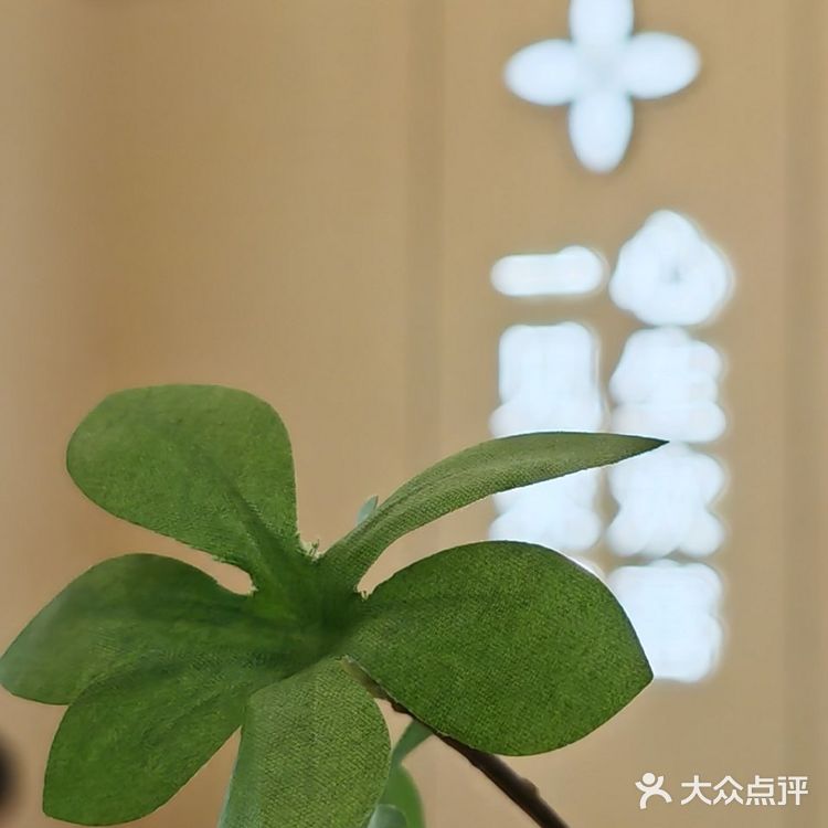 茉莉倾心，心生欢喜，超爱的茉莉奶白又开新店啦