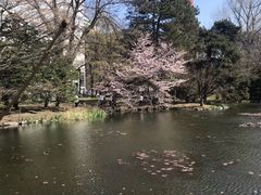 -北海道厅旧本厅舍(旧本庁舎)