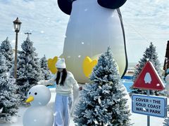 -汕头中海黄金海岸水上乐园