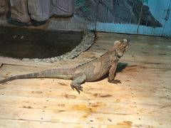 -石家庄市动物园