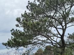 -白云山风景名胜区