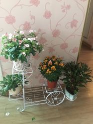 点击看大图 -本真坊美容美体沙龙