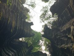 -梭布垭石林景区