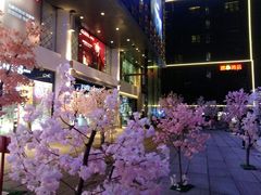 -大洋晶典(东街店)