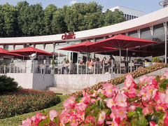 -Chili's Cafe&Bar奇利斯(滨江店)
