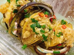 蒜蓉粉丝蒸鲍鱼-阿里元老宋海鲜大排档(明发店)