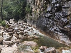 -青峰峡国家森林公园