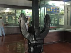 -海军上海博览馆