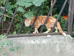 -中国电信(泰兴路店)