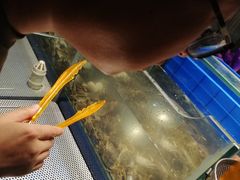 -海天牧场(银川商城店)