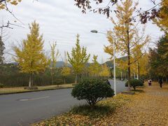-浙江农林大学(东湖校区)