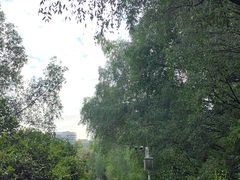 -大亚湾红树林城市湿地公园