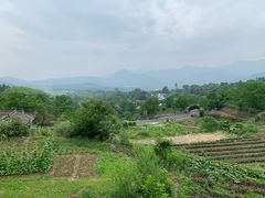 -塔川景区