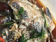 -和乐喜宴海鲜酒家(骏荣广场店)