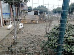 -呼吸森林·生态农庄农家乐私房菜