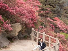 -木兰云雾山