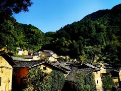 -杨家堂村