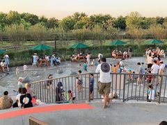 -季高兔窝窝亲子园(上海薰衣草公园店)