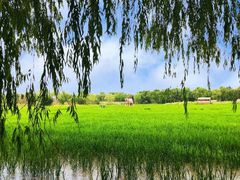 -长兴太湖图影湿地文化园