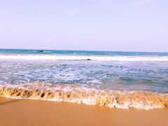 -尼甘布海滩