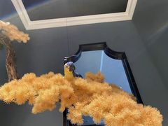 -渝乡辣婆婆·川菜 水煮鱼(安平店)