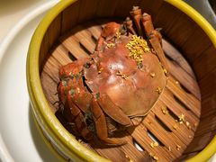 -桂满陇天书(南京德基旗舰店)