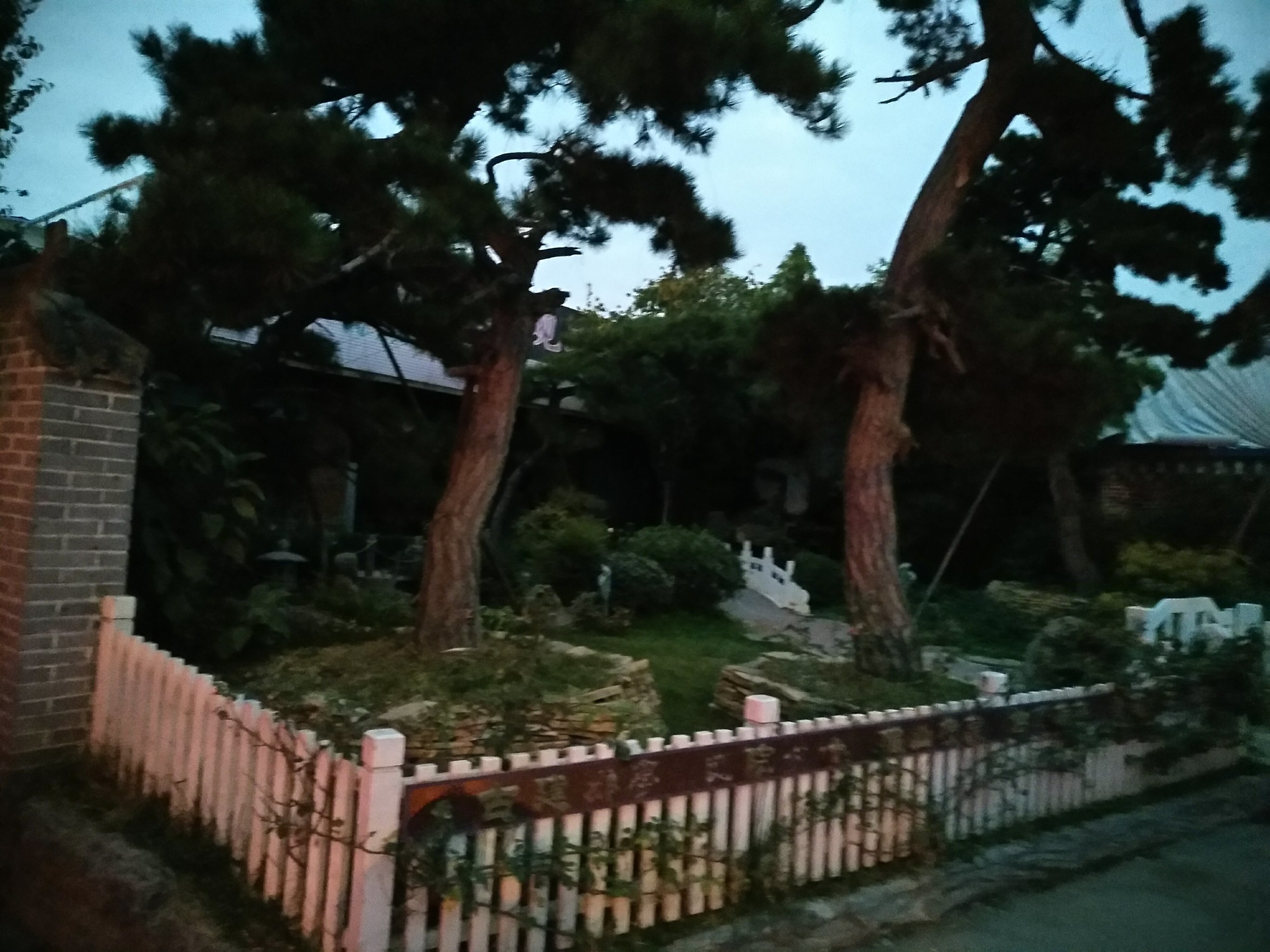 雁锦花卉市场是西安市一座规模较大,种类齐