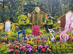 -上海共青森林公园