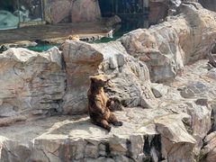 -珠海长隆海洋王国