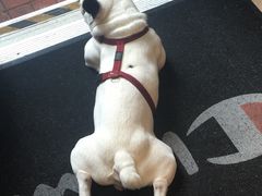 -新记餐厅(香槟大厦店)