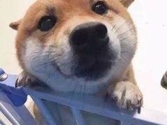 -音乐在线主题氧吧KTV(佳宁娜广场店)