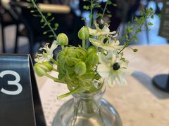 -gaga(深圳福田星河COCO Park店)
