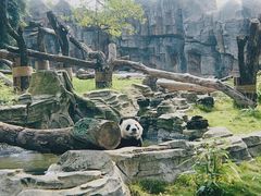 -武汉动物园