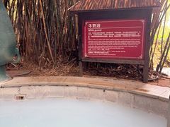 -森波拉火山温泉