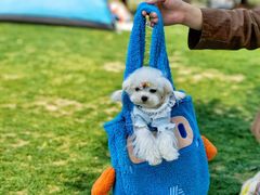 -ALDI奥乐齐超市(徐汇大木桥店)