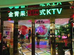 -金青果甄选KTV(劳动公园店)