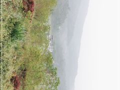 -塔川景区