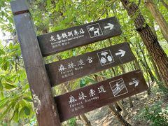 -日照海滨国家森林公园