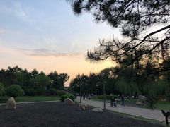 -老昌春饼(迅驰广场店)