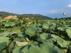-云水谣景区