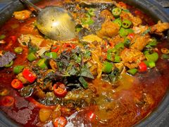 -探鱼·鲜青椒爽麻烤鱼(天一广场店)