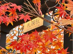 -Blue Concept Cafe&Farm·關於藍