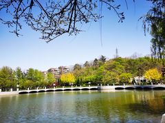 -大连植物园