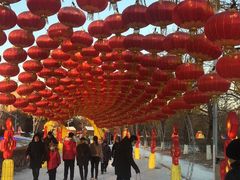 -沈阳奥体冰雪嘉年华