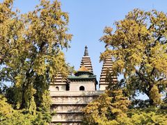 -北京石刻艺术博物馆(五塔寺)