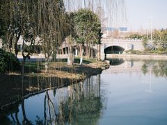 -尚贤河湿地