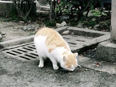 -锦江中华村农家乐饭庄