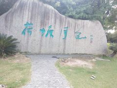 -荷塘月色湿地公园·向阳花洲