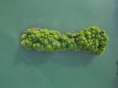 -尚湖风景区